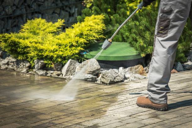 Best Solar Panel Cleaning  in College Station, TX