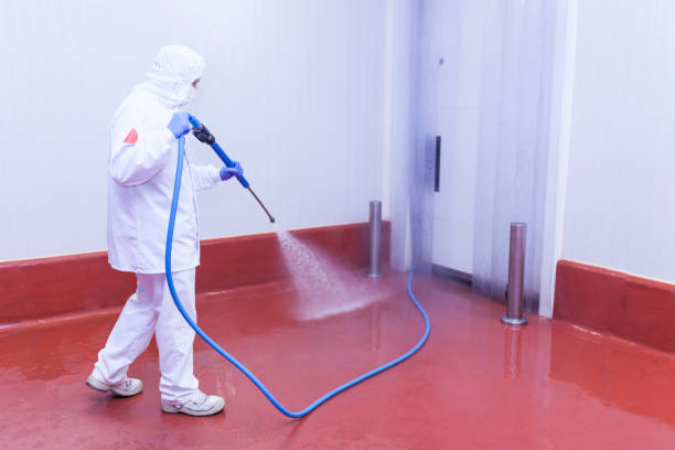Trusted College Station, TX Pressure Washing Experts